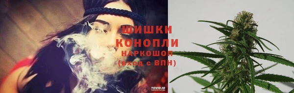 гидропоника Белоозёрский