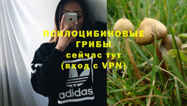 гидропоника Белоозёрский