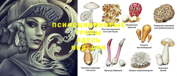 гидропоника Белоозёрский